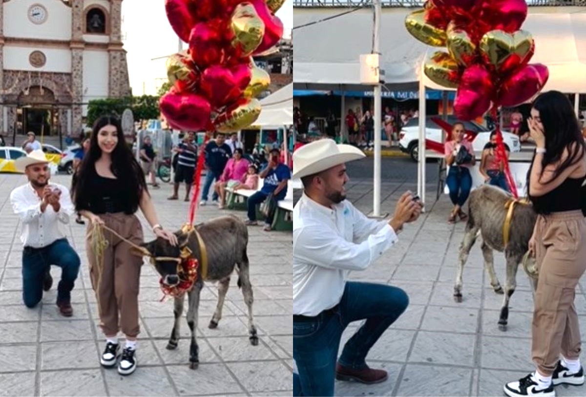 Joven pide matrimonio