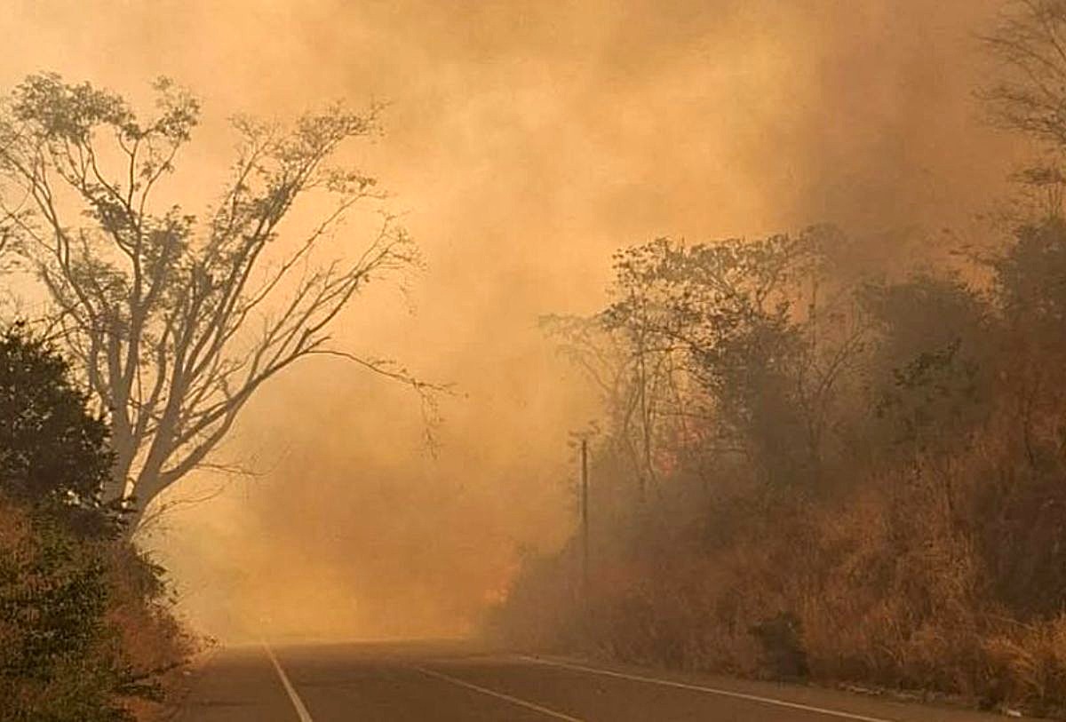 Incendio en Cabo Corrientes, Jalisco