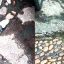 Aguas negras en calle de Puerto Vallarta