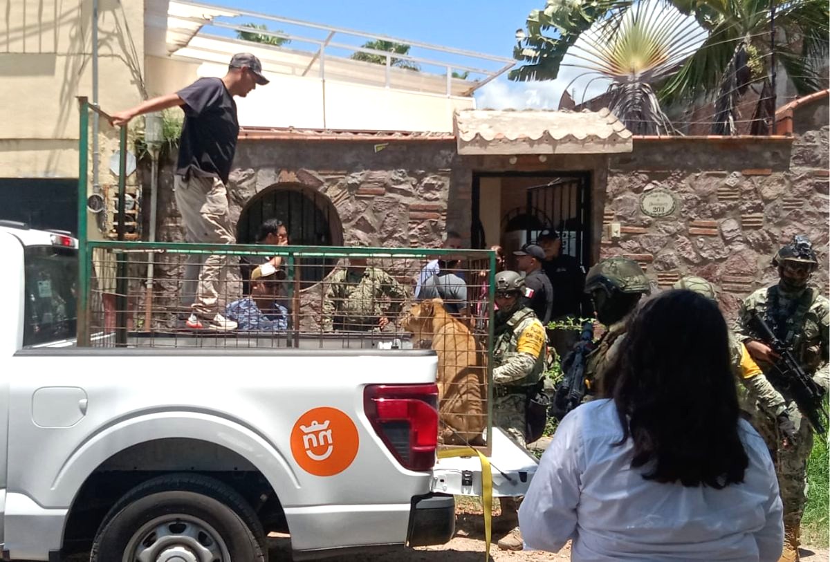 Leona "Kiri- Kiri" en Puerto Vallarta
