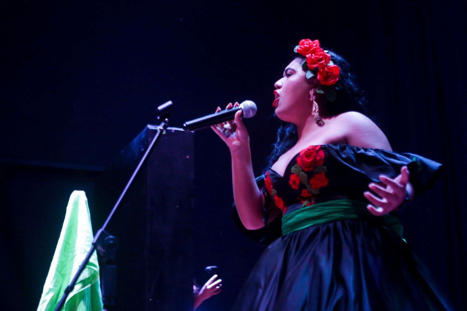 Evelin Guerra, cantante de Puerto Vallarta