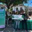 Ciudadanos de Vallarta adoptan árboles de plaza en plaza