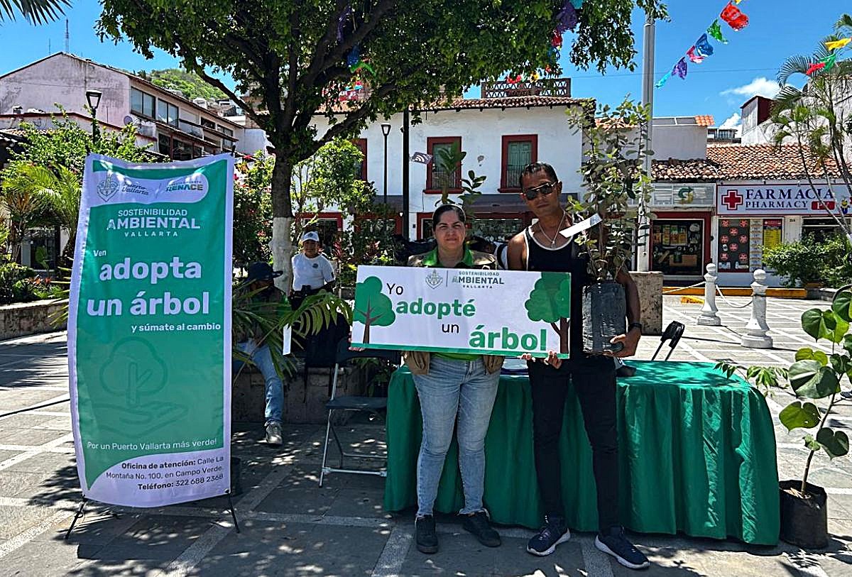 Ciudadanos de Vallarta adoptan árboles de plaza en plaza