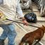 Maltrato animal en Tlajomulco de Zúñiga