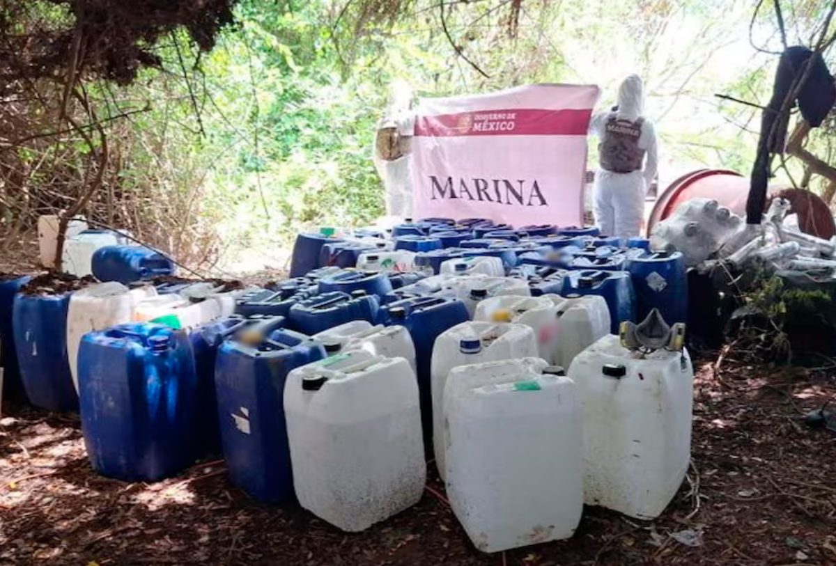 sustancias químicas encontradas en nayarit