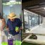 Inauguración de CRECE Modular en Bucerías, Nayarit