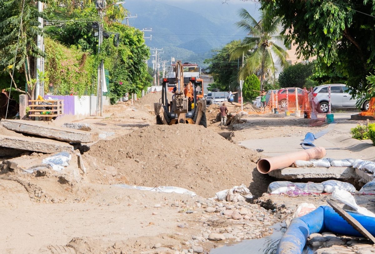 obra de seapal vallarta