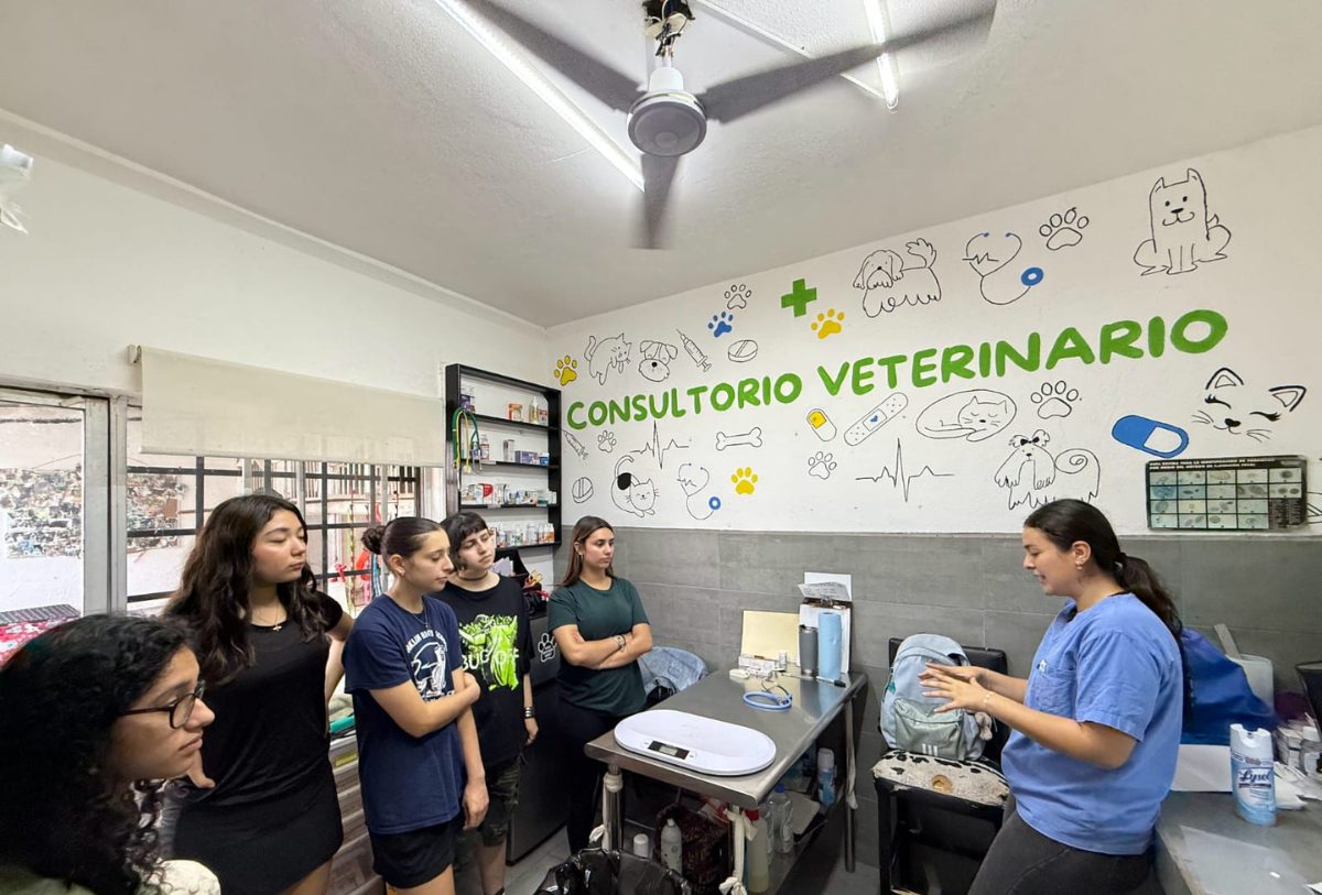 BIENESTAR ANIMAL DEJA ENTRAR A ESTUDIENTES