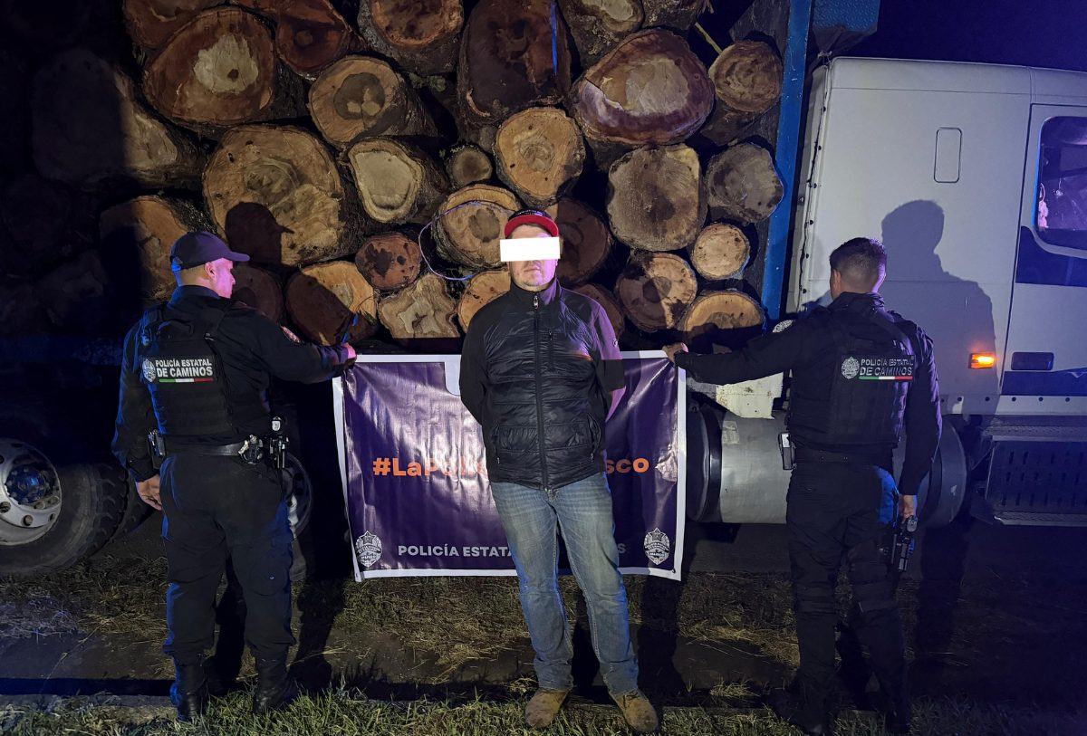 detenidos por transportar madera ilegal