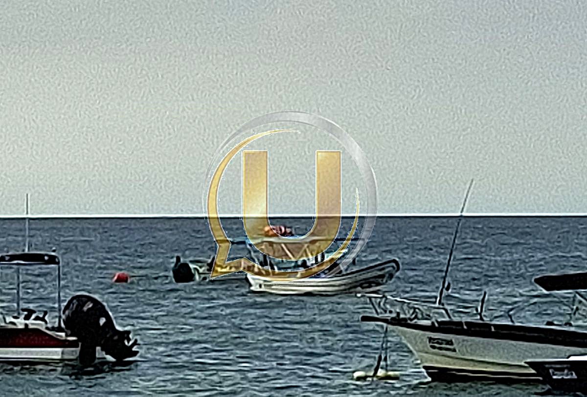 Embarcación choca con una ballena en Puerto Vallarta