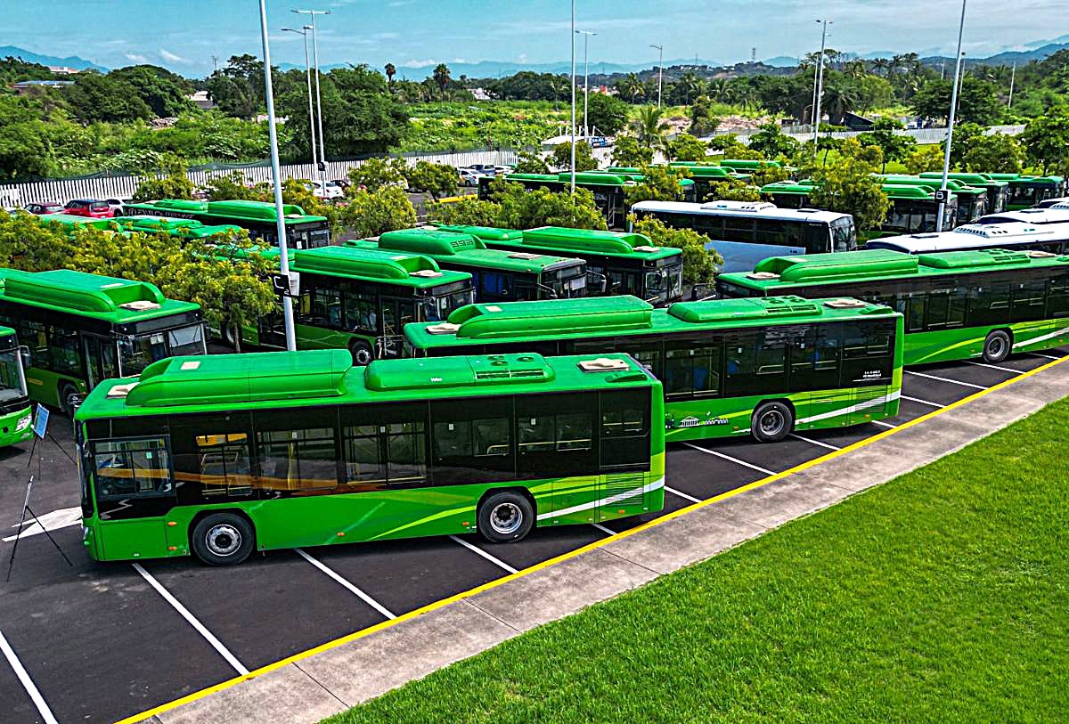 Unidades del transporte público en Puerto Vallarta