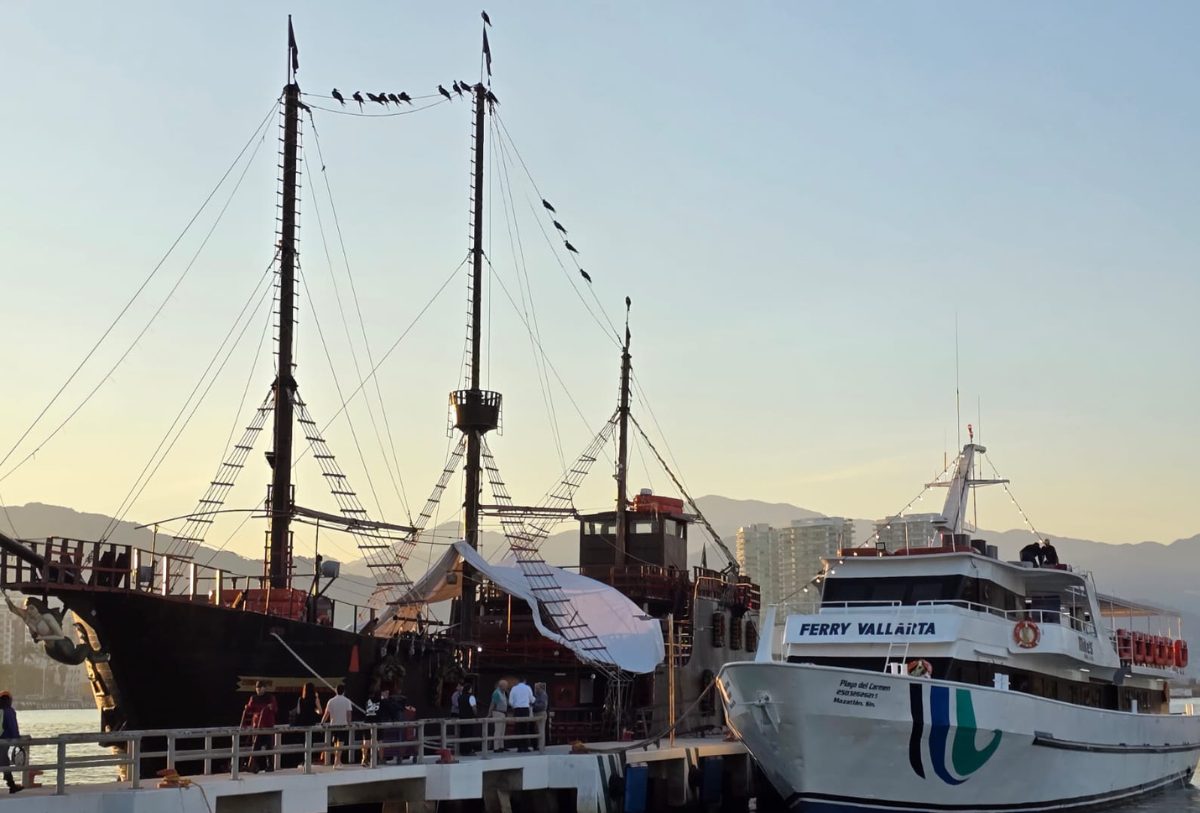 ferry en vallarta