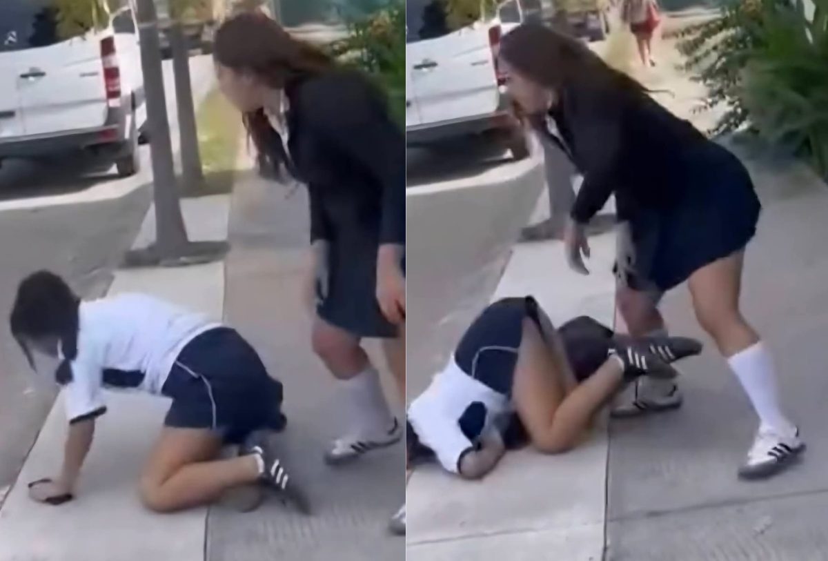 NIÑAS PELEANDO EN LA CALLE