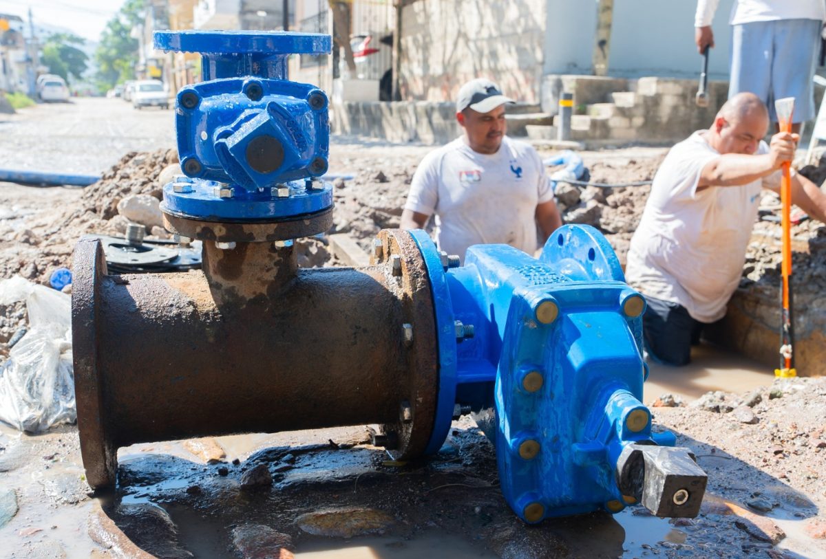 TRABAJADORES DE SEAPAL VALLARTA