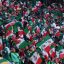 Afición mexicana en el Mundial de Futbol de la FIFA