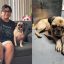 Perro "Kato" en Puerto Vallarta