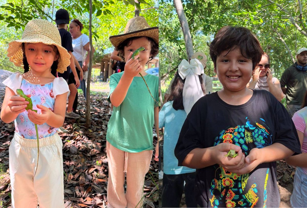 iguanas liberadas por niños en el Estero El Salado