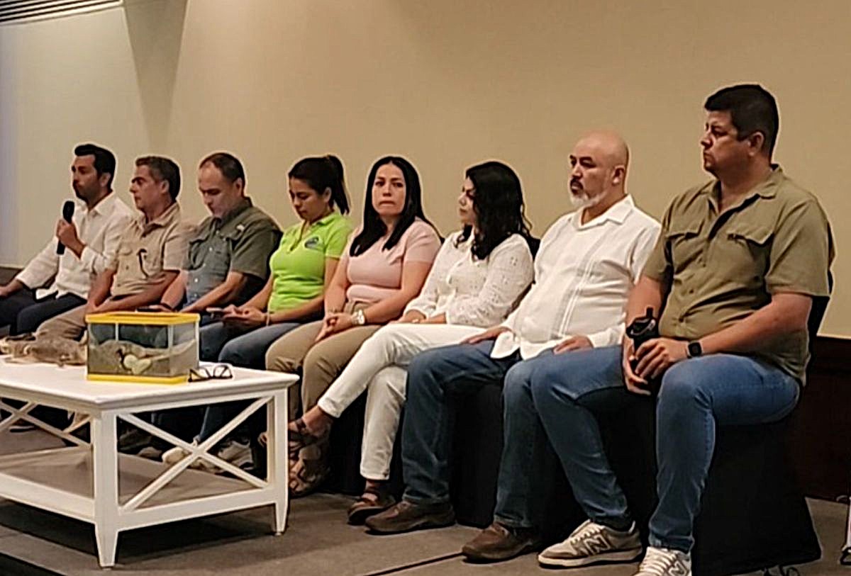Especialistas y autoridades de Semarnat y Profepa sobre cocodrilos en Vallarta