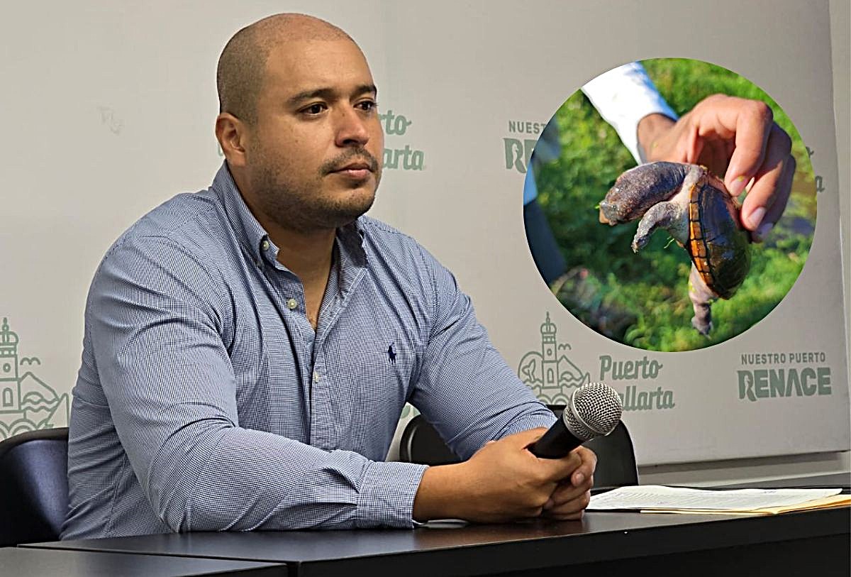 Terrance Vincent O'Halloran Lepe, gerente de Territorio y Ciudad Sustentable