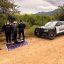 Detenido en Talpa por la POlicía Estatal de Caminos