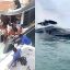 Yate hundido en Puerto Vallarta