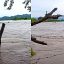 Credía del Río Ameca en Bahía de Banderas