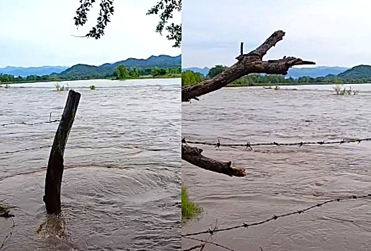 Credía del Río Ameca en Bahía de Banderas