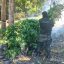 Marihuana decomisada en Tequila, Jalisco