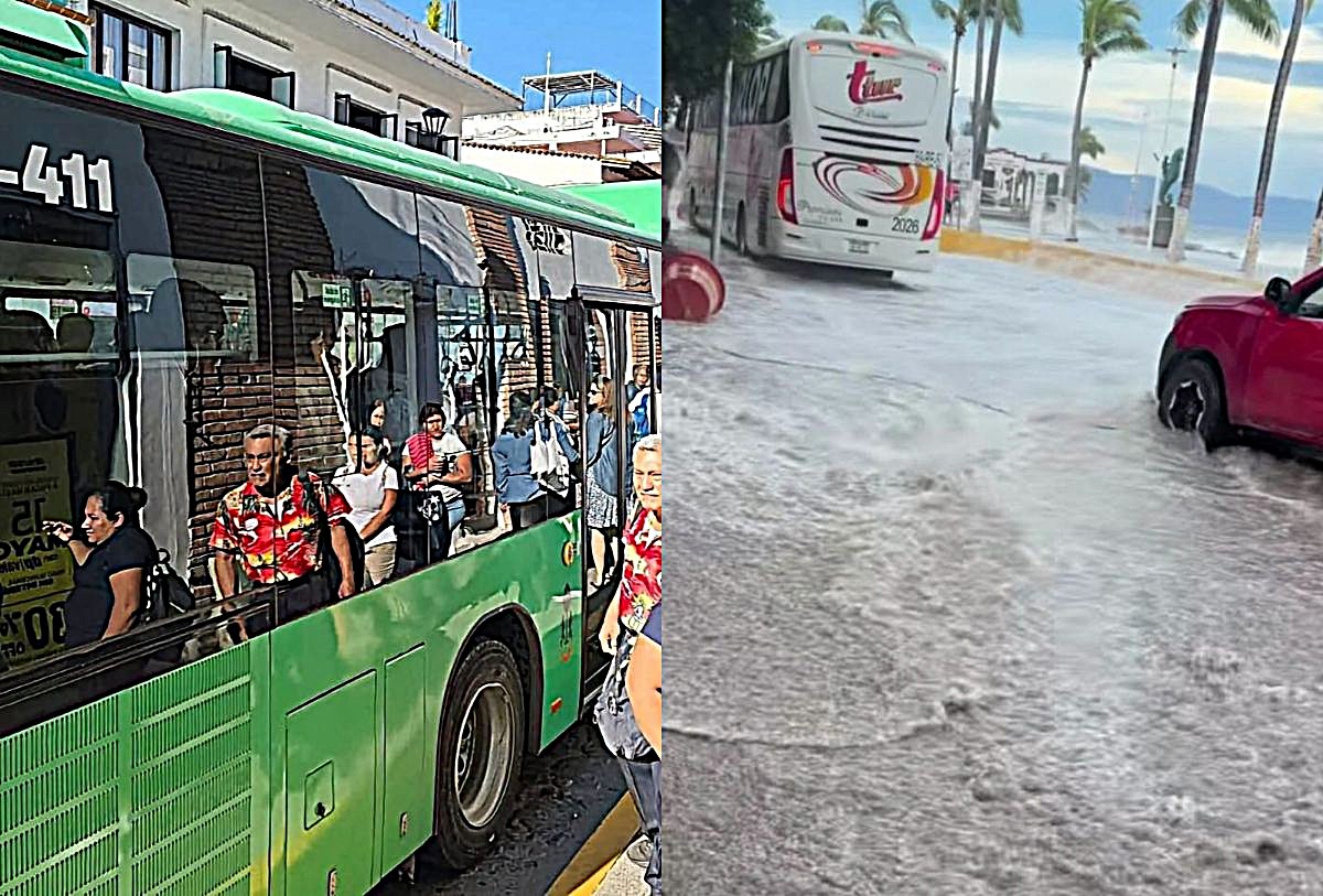Transporte público de Vallarta