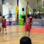 Juego de Iguanas de Vallarta